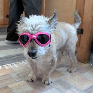 Closet Clear Out Discounted Shipping!!